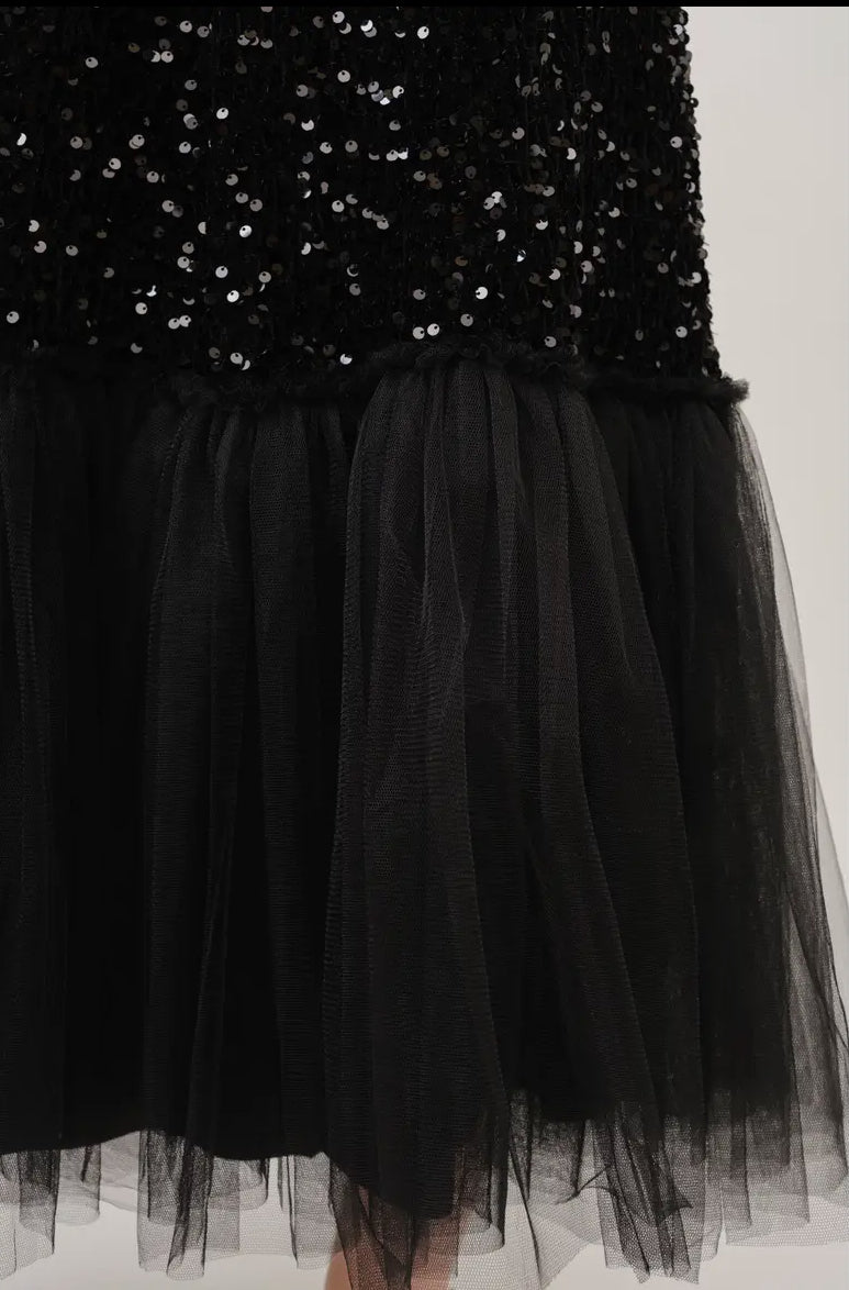 Tulle Sequins Maxi Skirt